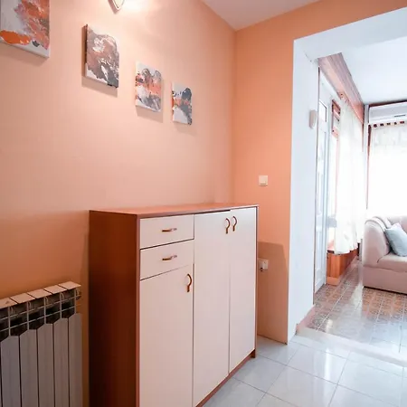 Apartman Tisa Apartment Bibinje